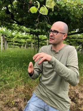 01_Vine_Trail_Bodegas_Albamar_3_4