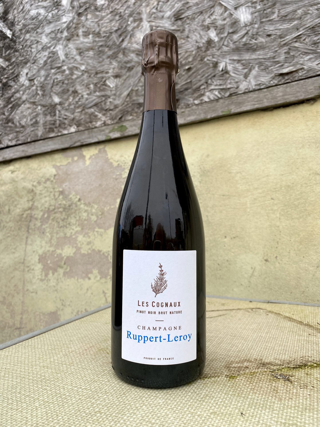 Vine Trail | Ruppert-Leroy - Fosse Grely (2020) Vine Trail | Ruppert-Leroy - Fosse Grely (2020)